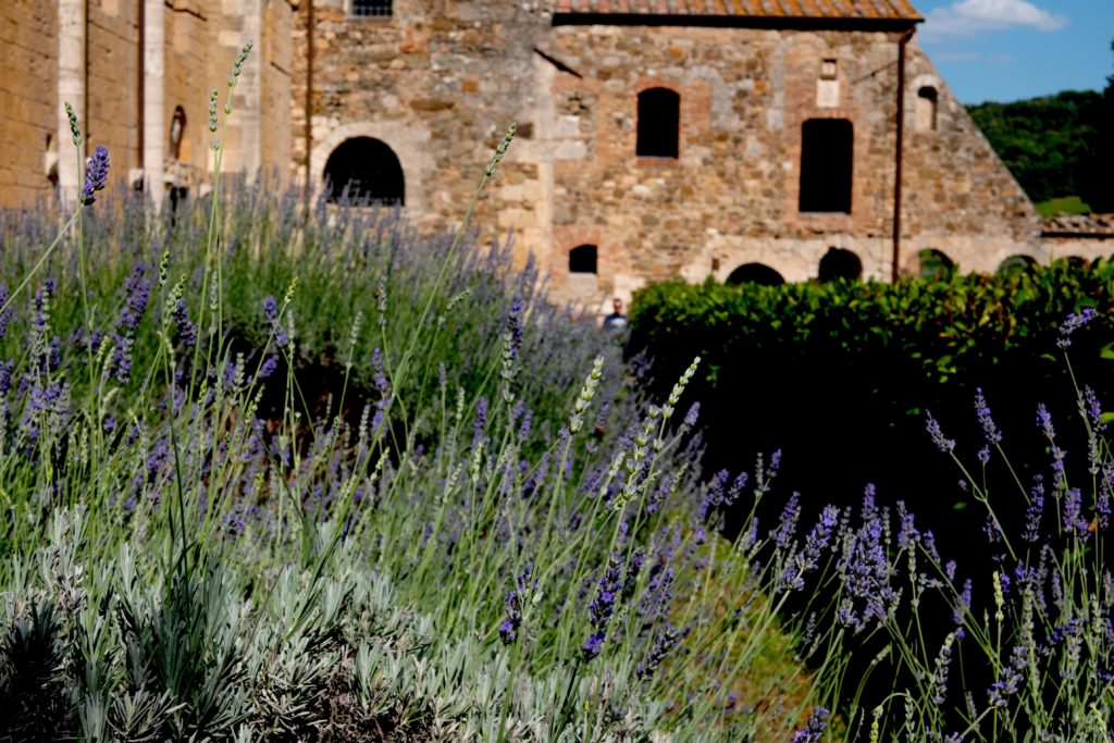 cosa vedere in val d'orcia